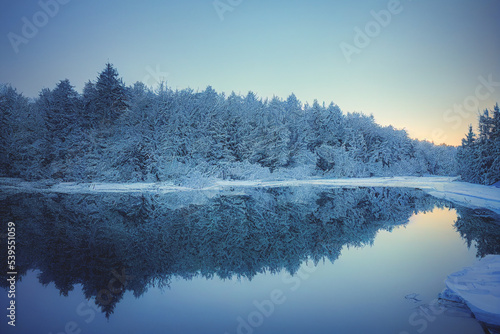 Fir trees in mountains near icy lake. Fog in the winter mountains. Natural winter landscape.