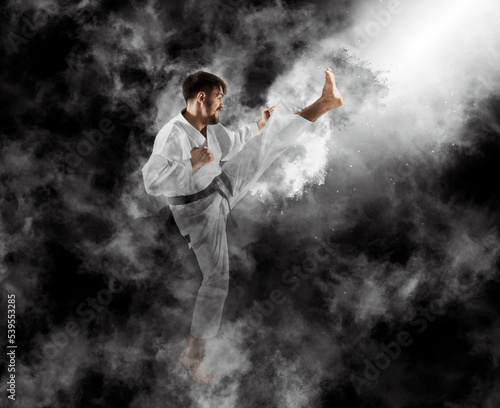 Karate master. Smoke background