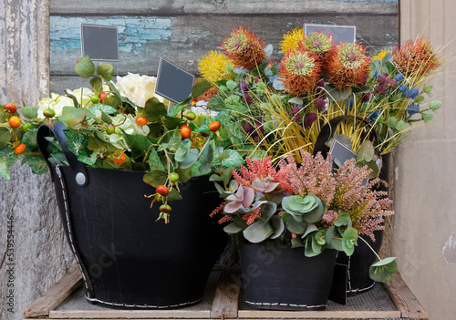 Beautiful colorful flower arrangement composed of three flowerpots