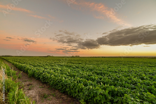 Beautiful dramatic cloudscape over a cultivated agricultural field in Uruguay, Juan Lacaze, Colonia photo