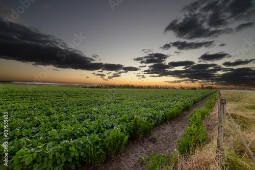 Beautiful dramatic cloudscape over a cultivated agricultural field in Uruguay, Juan Lacaze, Colonia photo