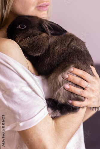 Close up woman holding cute fluffy rabbit, animal and pet concept