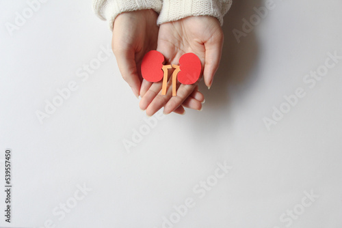 hand holding lung shape made from paper on white background with copy space, world kidney day, transplant concept. top view