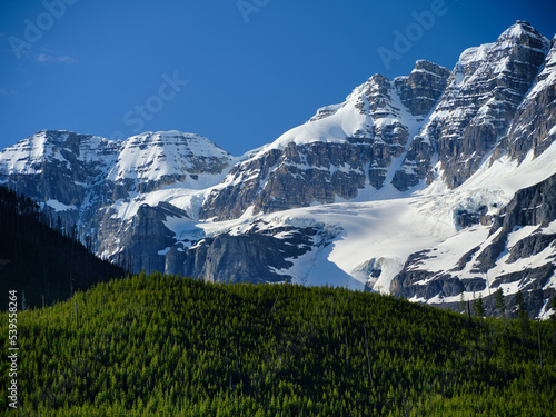 The pristine forests and snow covered rugged mountains in the Canadian Rockies