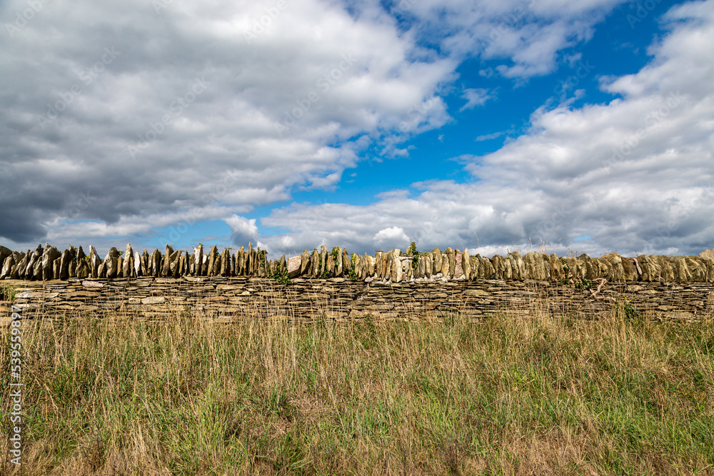 A Dry Stone Wall in Rural Devon