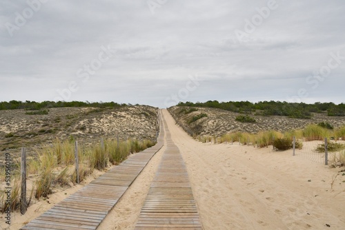 Acc  s    la plage de Salie    la Teste-de-Buch   Gironde Aquitaine - France