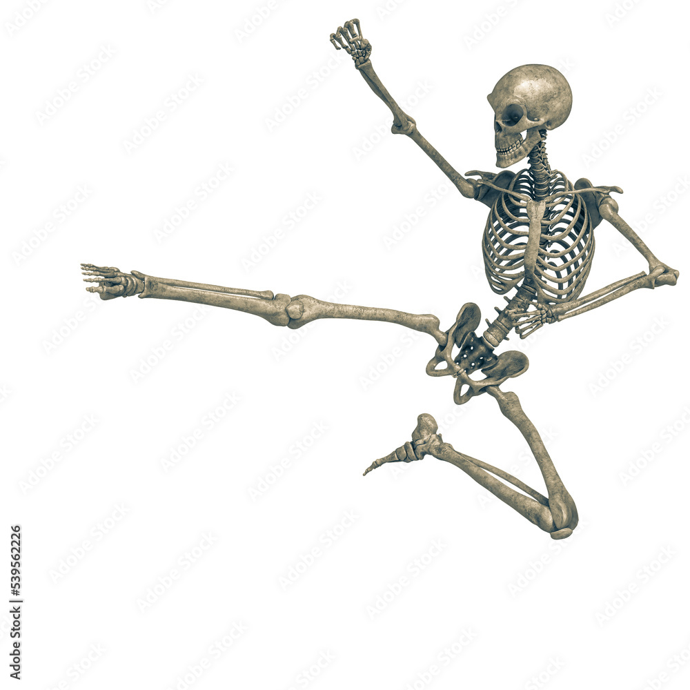skeleton in a white background running doing a a jump kick skeleton in a white background running doing a a jump kick