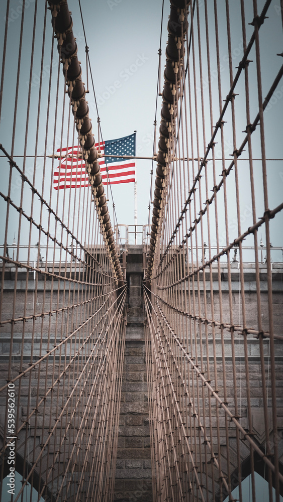 Obraz premium the city bridge