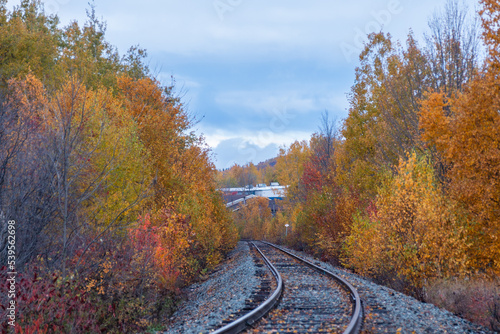 Autumn along the Railroad