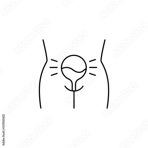 Line bladder icon. Urinary tract. Pain with bowel movements or urination concept