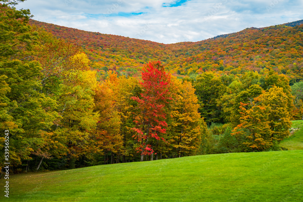 Autumn landscape in Vermont 
