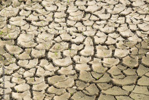 dry cracked earth