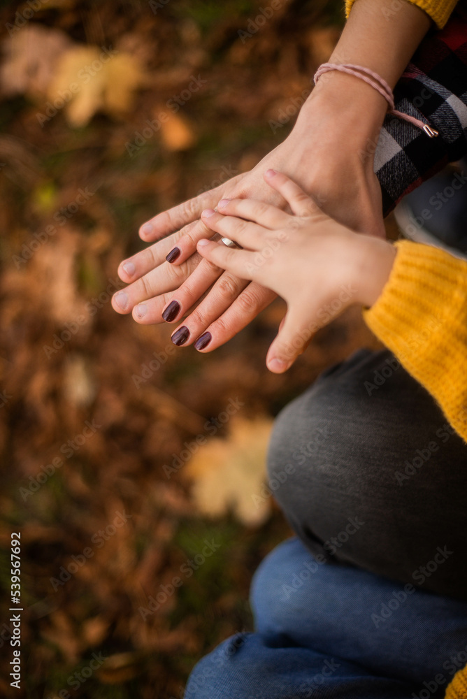 family photo: hands of dad, mom and little daughter. a walk in the autumn park. vertical photo, portrait