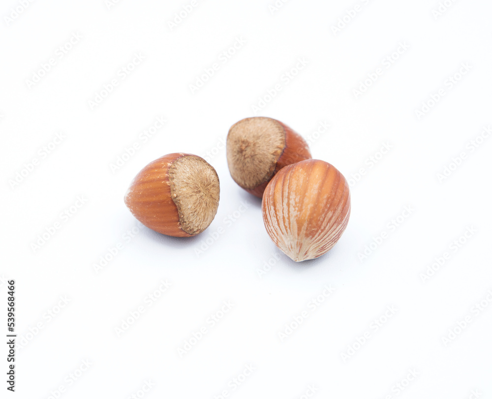 Noisettes sur fond blanc gros plan / Hazelnuts on a white background close up Noisettes sur fond blanc gros plan / Hazelnuts on a white background close up