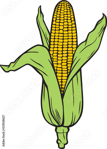 Corn (Corncob with Green Leaves) Color. Vector Illustration.