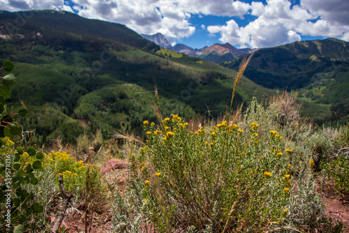 meadow in the mountains