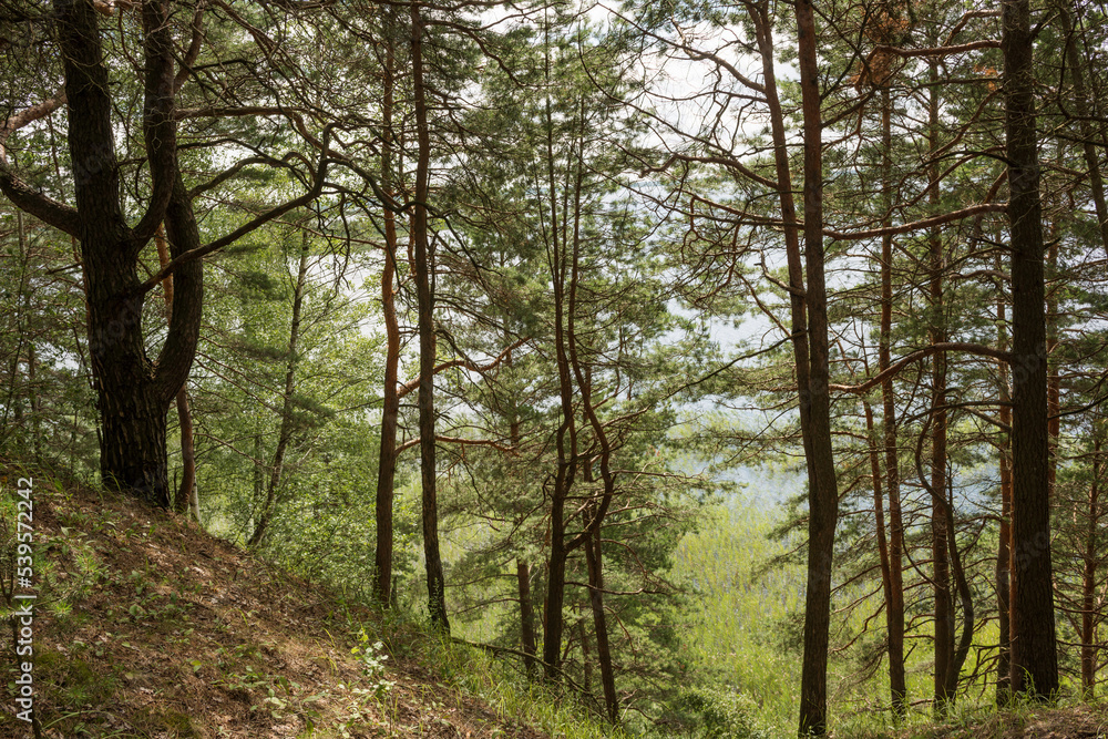 Fototapeta premium Sunny day and cloudy sky on the lake