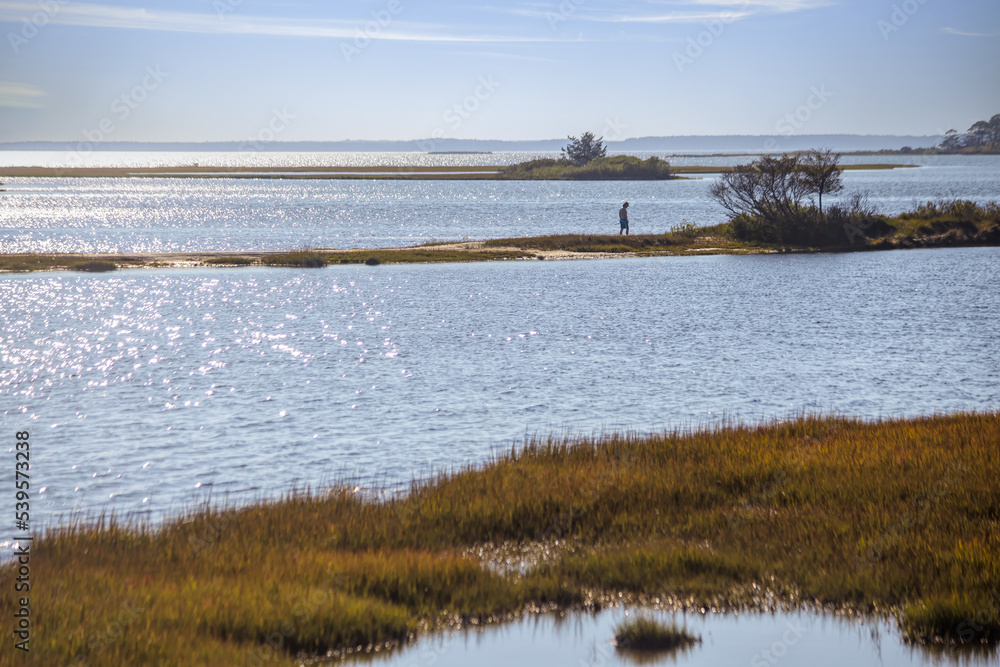 Walking on Strip of Land in Marsh