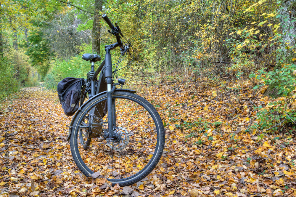 An e-bike is standing in the colorful autumn forest. What looks nice can be dangerous for cyclists, because wet autumn leaves on the paths can turn cycling into a slide party..
