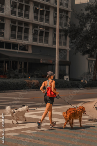 woman walking with dog Brickell Miami 