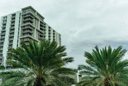 palm trees in downtown city midtown miami  © Alberto GV PHOTOGRAP