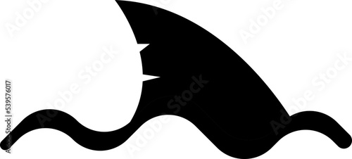 shark fin