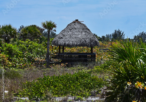 View of a Palapa Roof Over Picnic Area Amid Florida Coastal Dune Landscape
