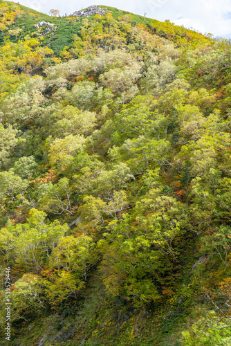 北アルプスの秋景色 © Nao