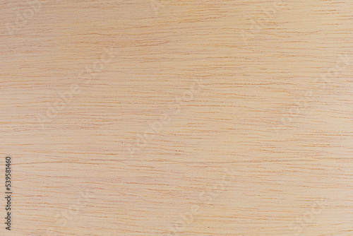 Light rough textured cut surface of an African tree. Wood background or blank for design