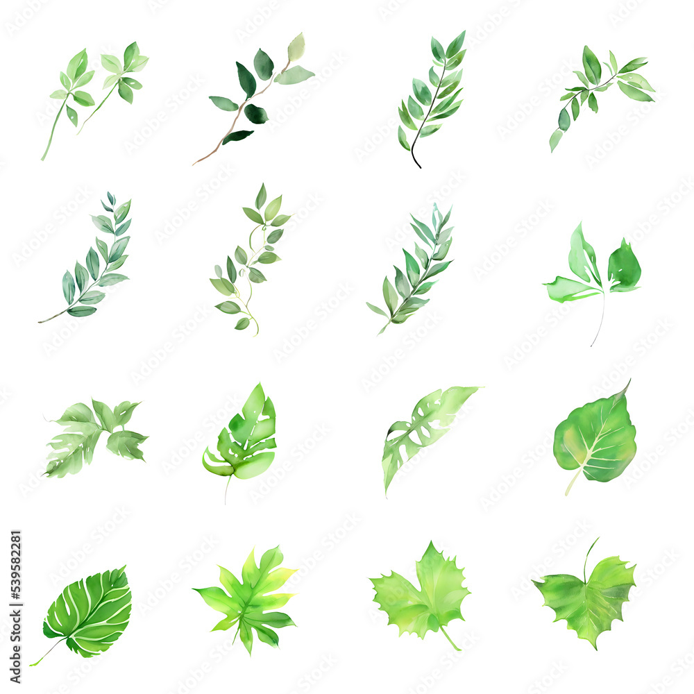 Green watercolor leaves isolated with alpha channel Green watercolor leaves isolated with alpha channel