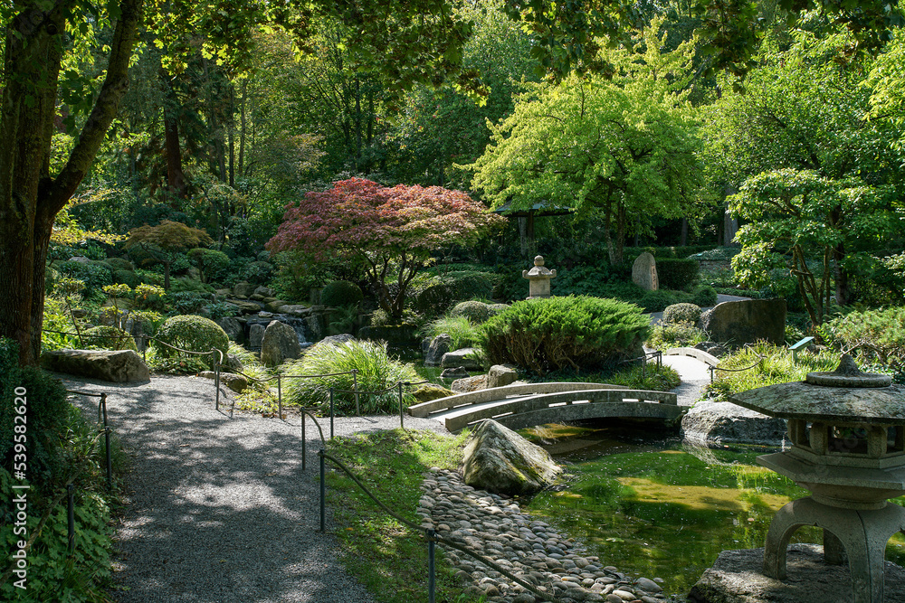 Beautiful view from early autumn in japanese garden in Wurzburg Beautiful view from early autumn in japanese garden in Wurzburg