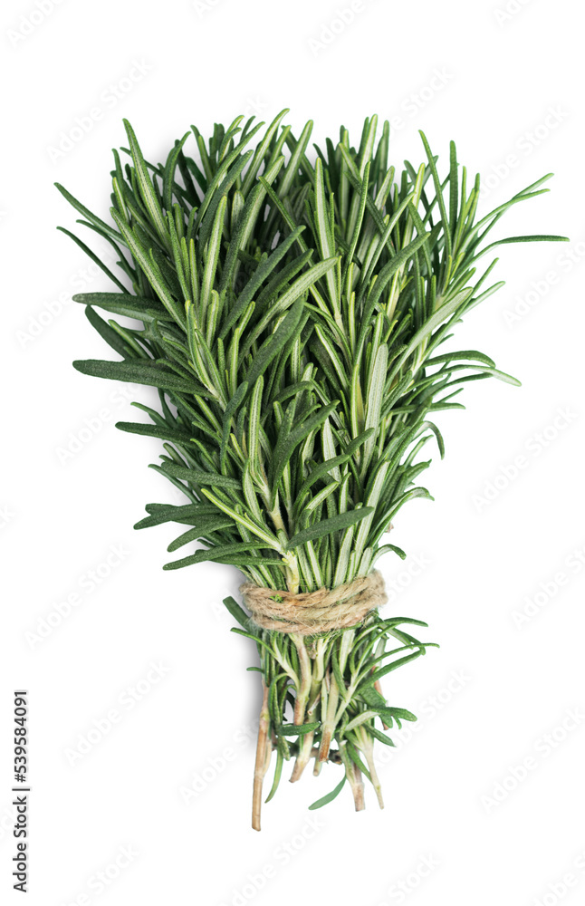 Fototapeta premium fresh rosemary bunch, isolated on white background