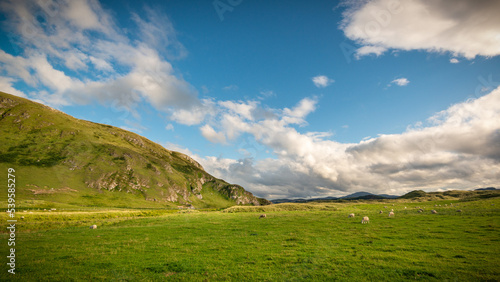 Typical irish landscape