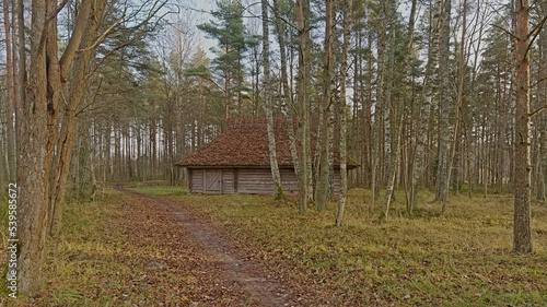 Wooden barn along a dirtroad in the pine forest in the Estonian open air museum, Tallinn 
