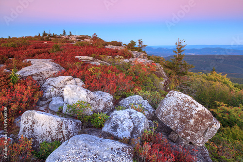Red autumn leaves and brush among boulder rocks at edge of mountain in Dolly Sods Wilderness at sunset © Lenspiration