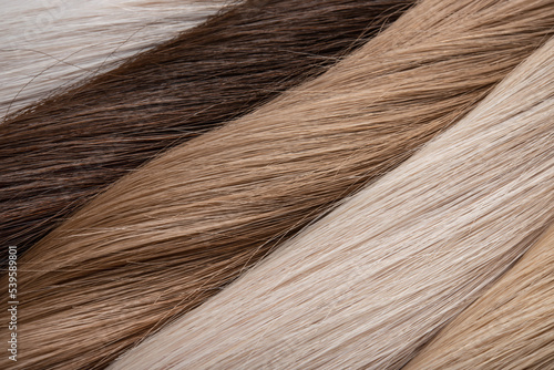 Texture or background of natural female hair of different colors. Hair extension. Donor hair.