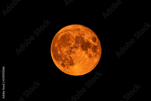 Full Harvest Moon