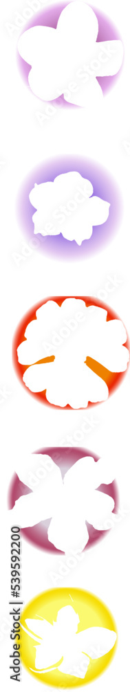 drawn garden flower ornament drawn garden flower ornament