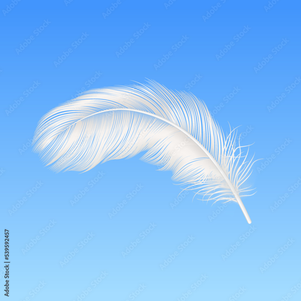 Fototapeta premium Vector 3d Realistic Falling White Fluffy Feather Closeup on Blue Sky Background. Design Template of Angel, Bird Detailed Feather. Lightness and Freedom Concept