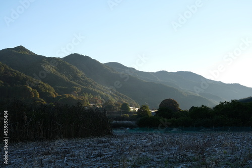 山里の朝、秋