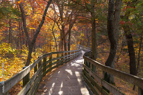 Wooden walkway through the park.