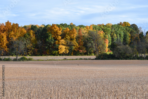 Fields in the Autumn