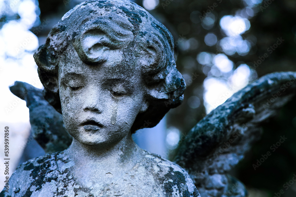 Beautiful statue of angel at cemetery, closeup