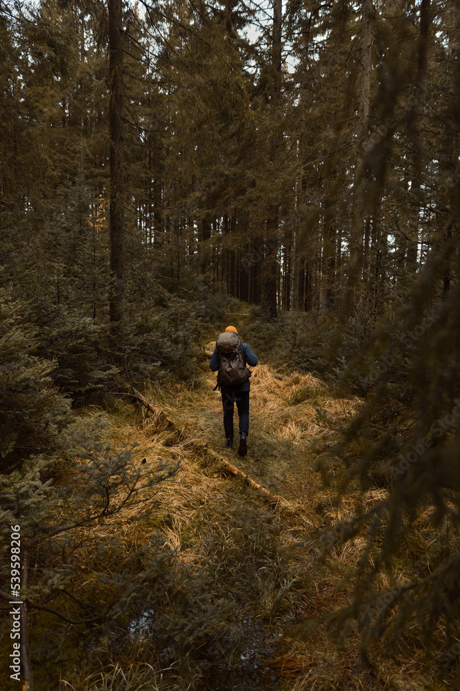 A caucasian man with a backpack hiking in tall yellow gras in the forest.