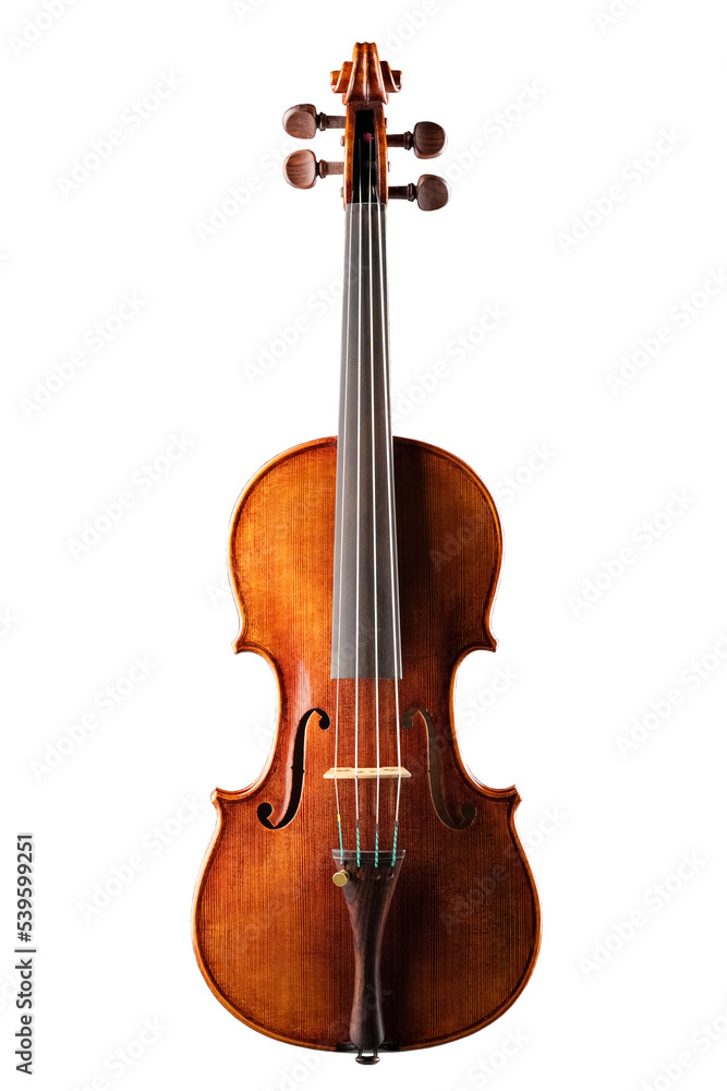 beautiful vintage musical instrument, violin, isolated - obrazy, fototapety, plakaty 