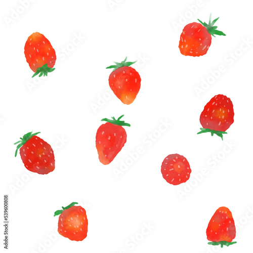 Fototapeta Naklejka Na Ścianę i Meble -  Strawberry  Water color illustration multiple fruits White background 