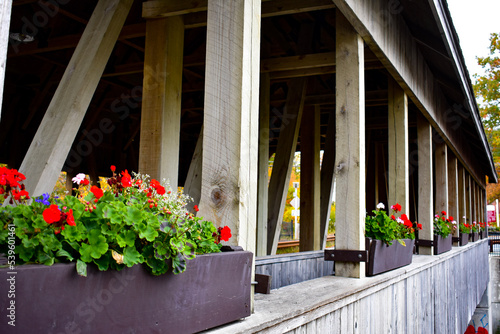window with flowers