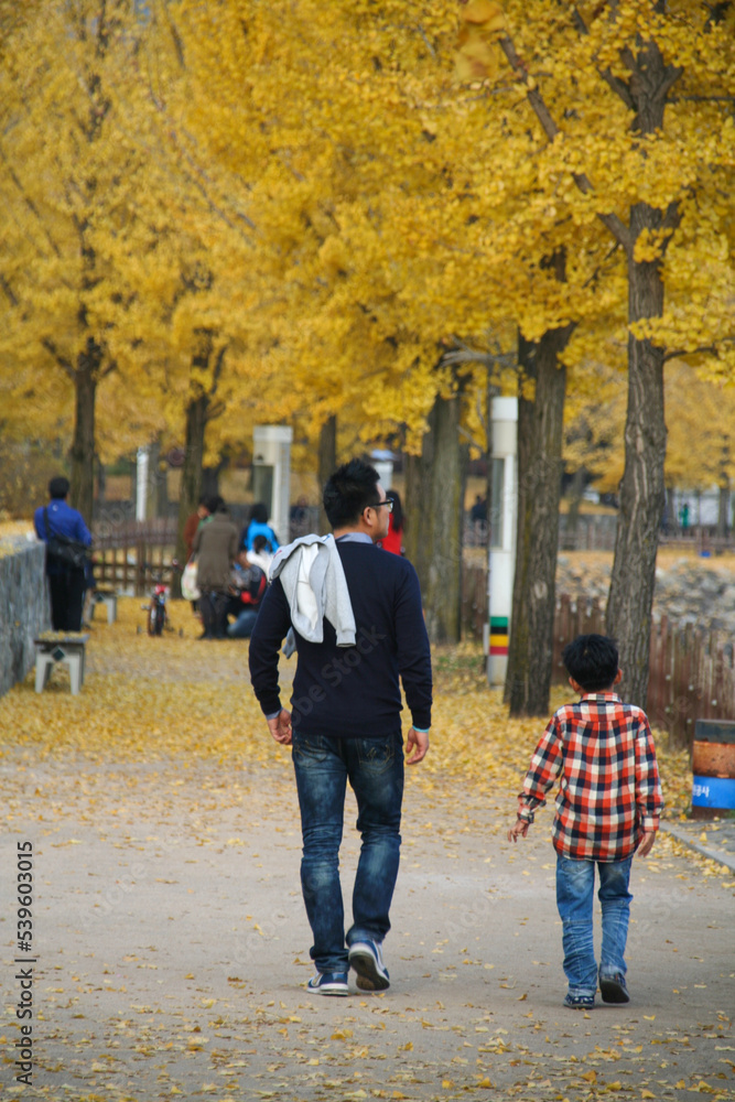 Father and son walking and watching the leaves change colors. Father and son walking and watching the leaves change colors.