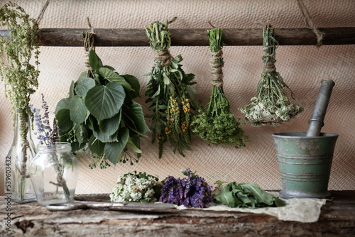 Bunches of different beautiful dried flowers and herbs indoors