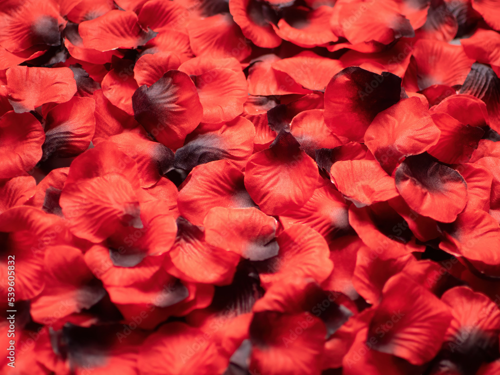 Decorative artificial rose petals as an abstract background Decorative artificial rose petals as an abstract background